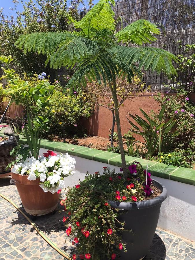 Apartamento Con Encanto En La Playa Frente Al Mar "Posada Rent House" ปูแอร์โต เดล โรซาริโอ ภายนอก รูปภาพ